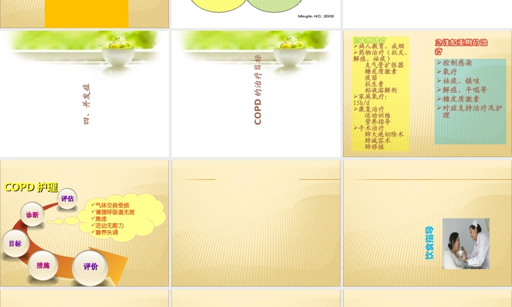 COPD病人的护理优质PPT课件