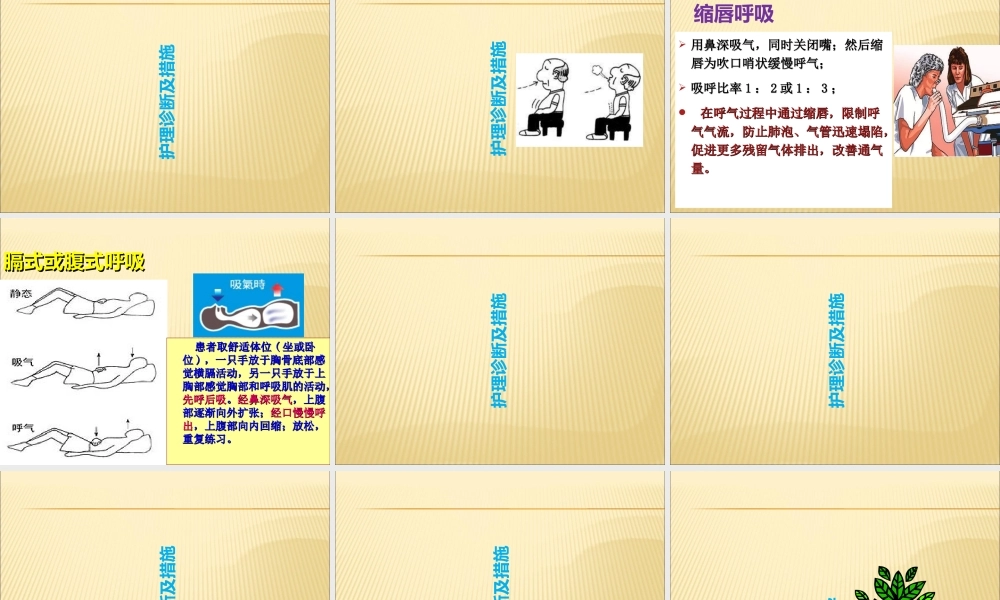 COPD病人的护理优质PPT课件