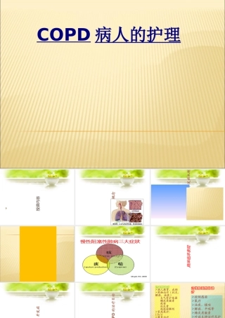 COPD病人的护理优质PPT课件