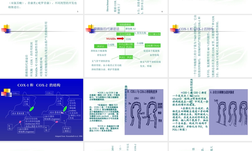 COX1和COX2解读专题培训课件