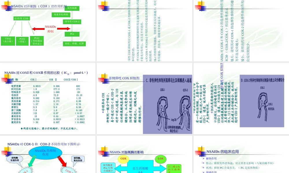 COX1和COX2解读专题培训课件