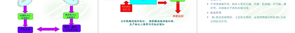 COX1和COX2解读专题培训课件