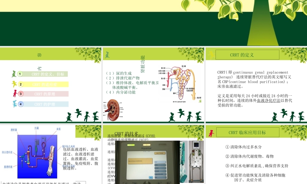 CRRT的护理优质PPT课件