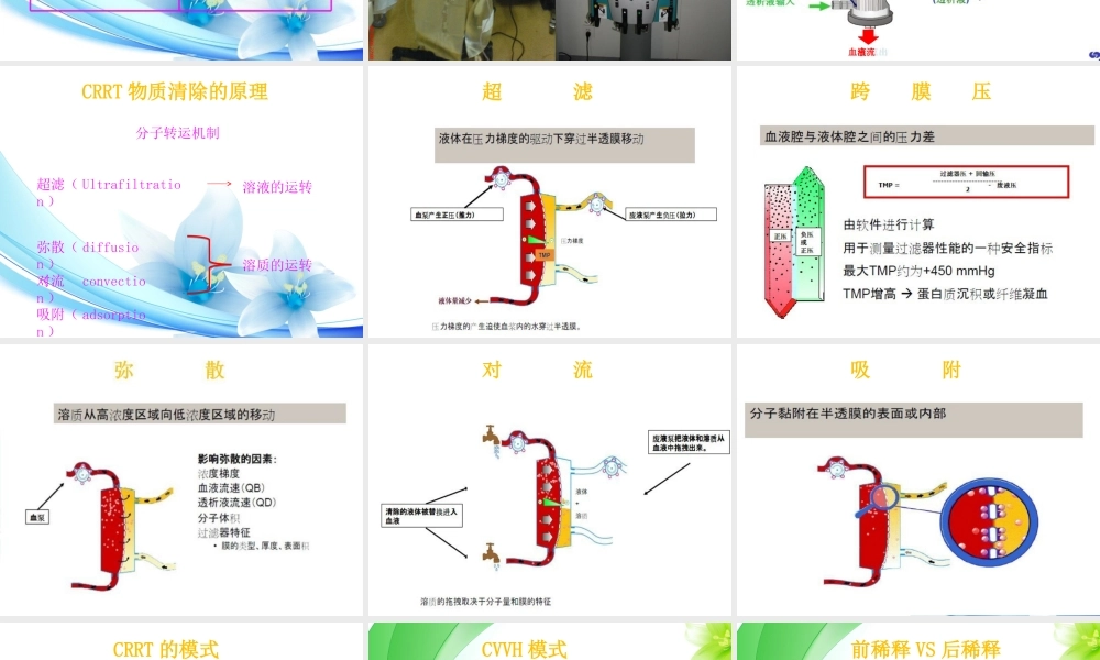 CRRT治疗及护理医学知识讲解讲义
