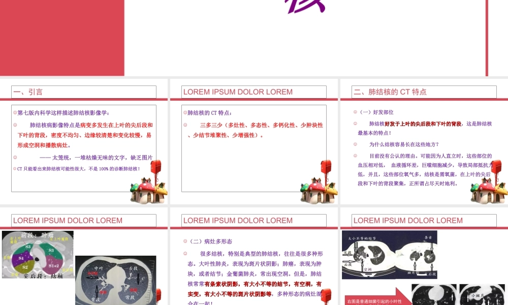 CT诊断肺结核PPT培训课件