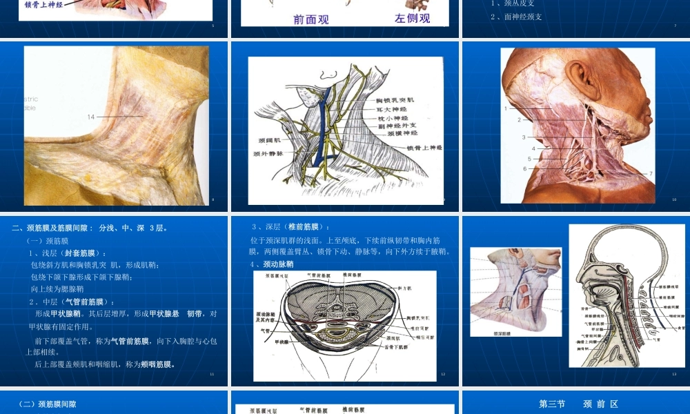 CT解剖颈部优质PPT课件