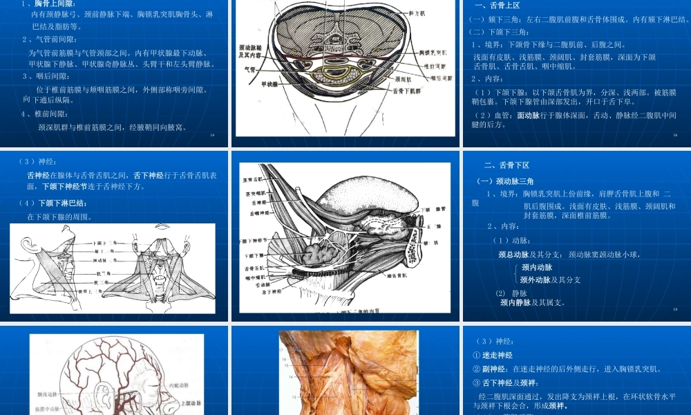 CT解剖颈部优质PPT课件