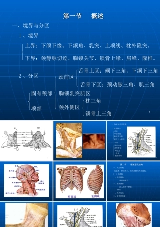 CT解剖颈部优质PPT课件