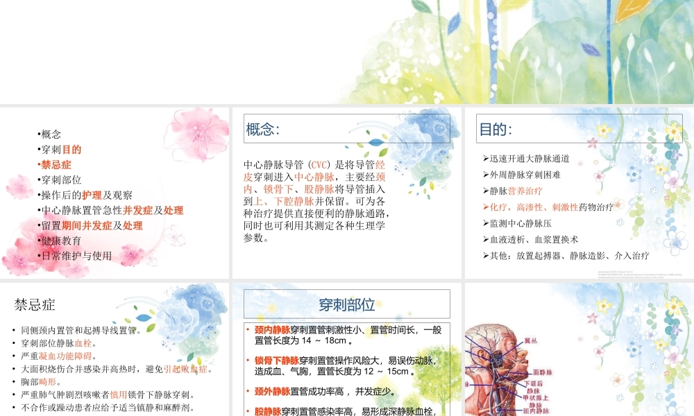 CVC置管和医疗护理治疗讲义