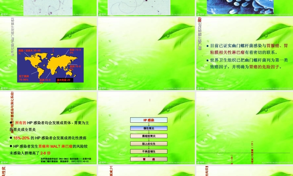C十三呼气试验专题医疗讲座讲义