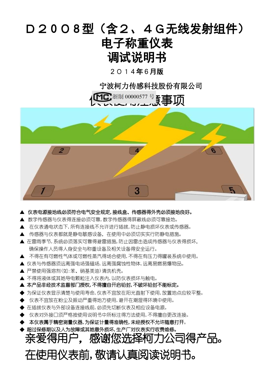 D2025型电子称重仪表调试说明书_第1页