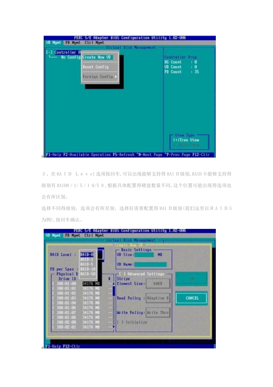 DELL服务器BIOS的RAID做法及热备盘_第2页