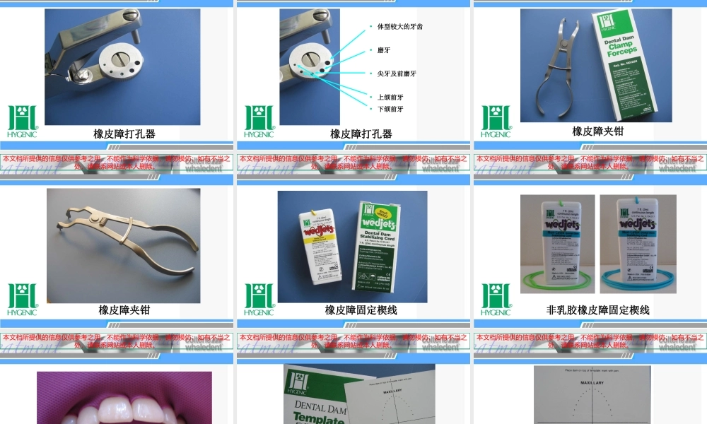 DentalDam齿科橡皮障操作讲课培训课件