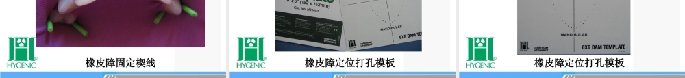 DentalDam齿科橡皮障操作讲课培训课件
