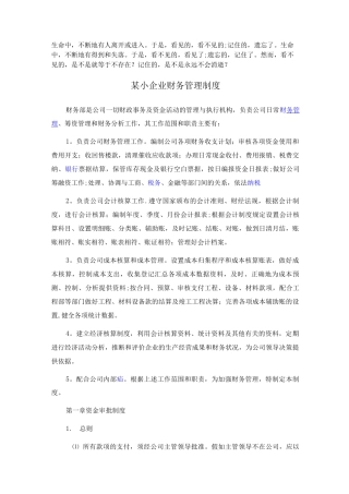 Ebrxve某小企业财务管理制度