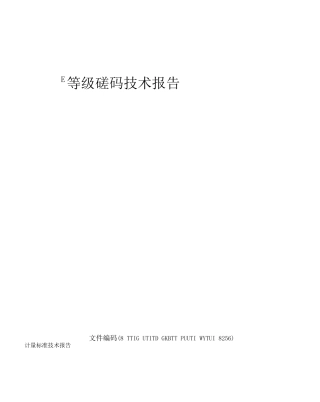 E等级砝码技术报告
