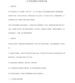 FT开发公司改制方案