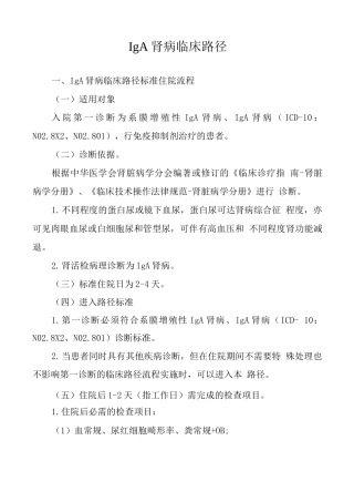 IgA肾病临床路径