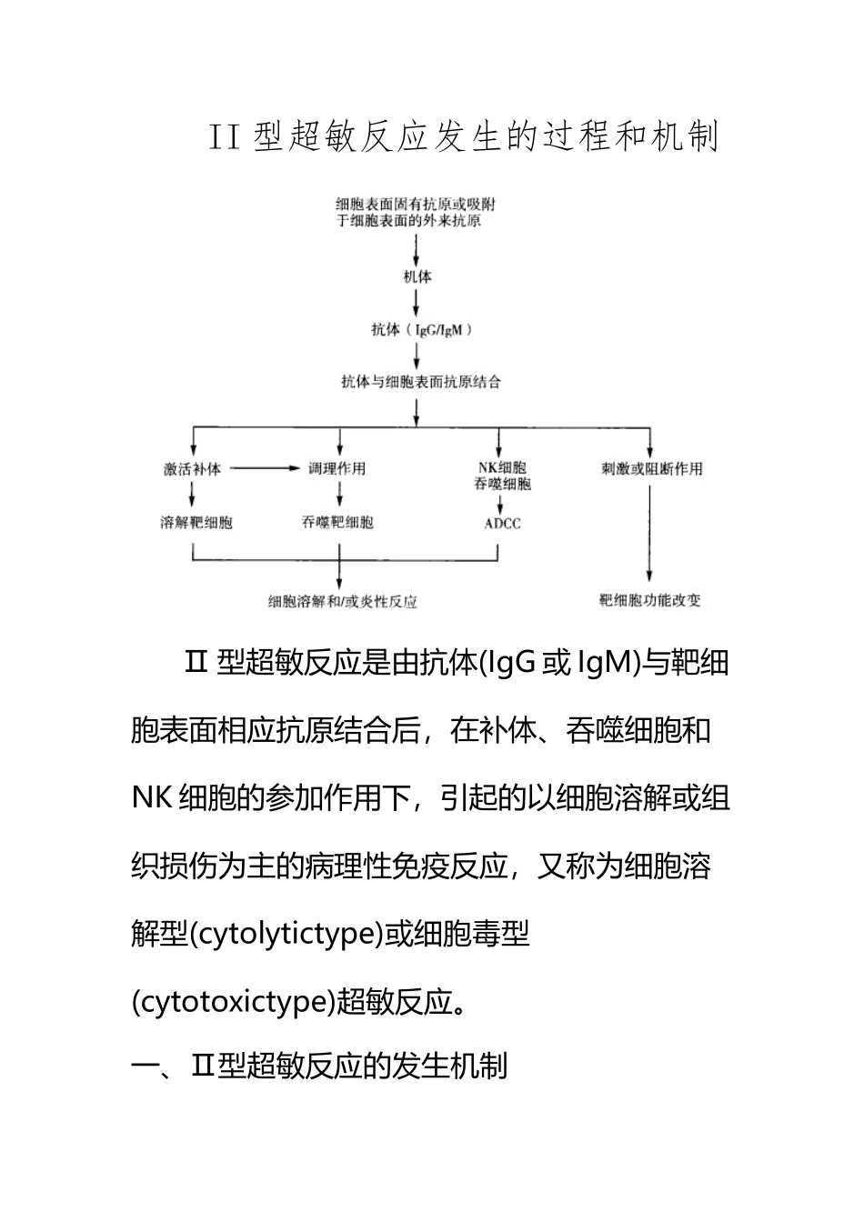 II型超敏反应发生的过程和机制_第2页