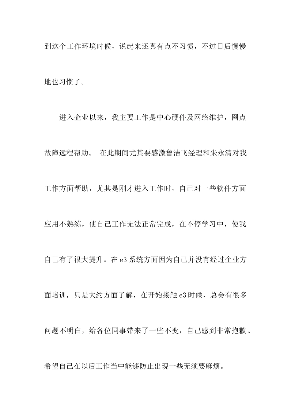 IT工作总结完整版_第2页