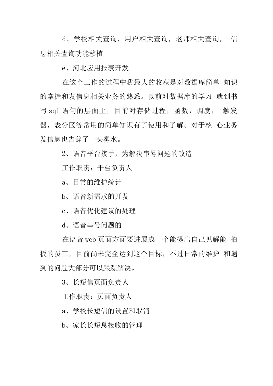 IT技术工作总结范文_第2页