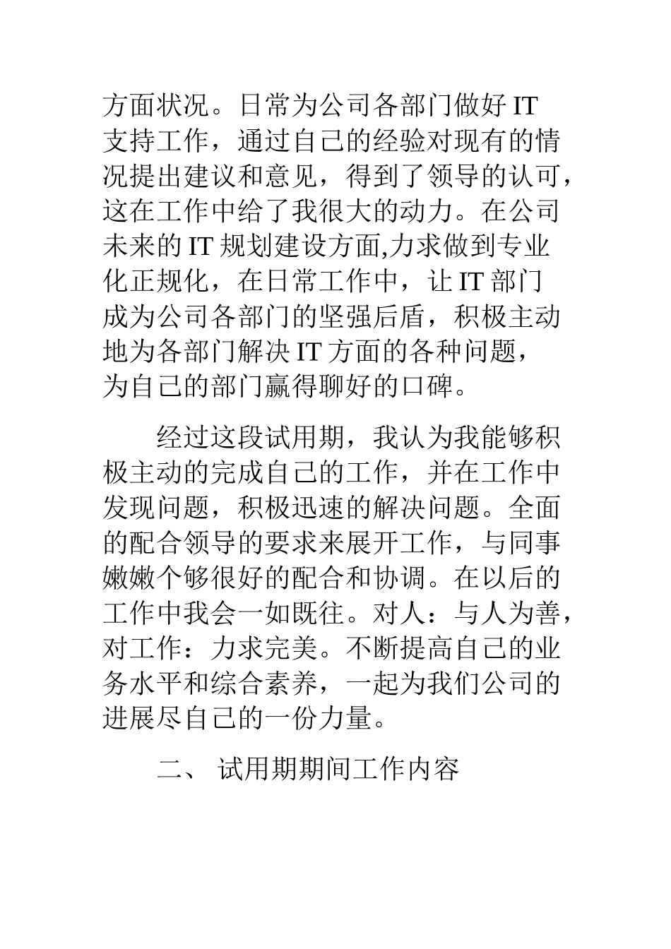 it转正工作总结_第2页
