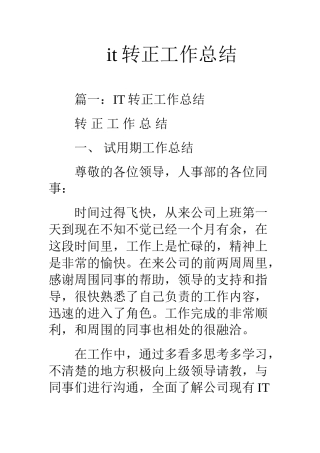 it转正工作总结