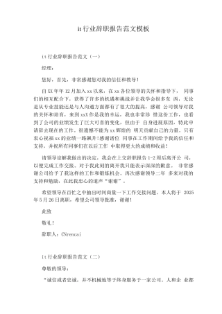 it行业辞职报告范文模板