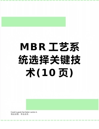 MBR工艺系统选择关键技术