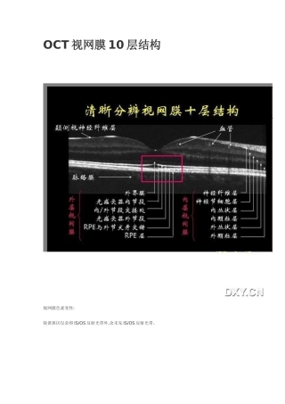 OCT视网膜10层结构