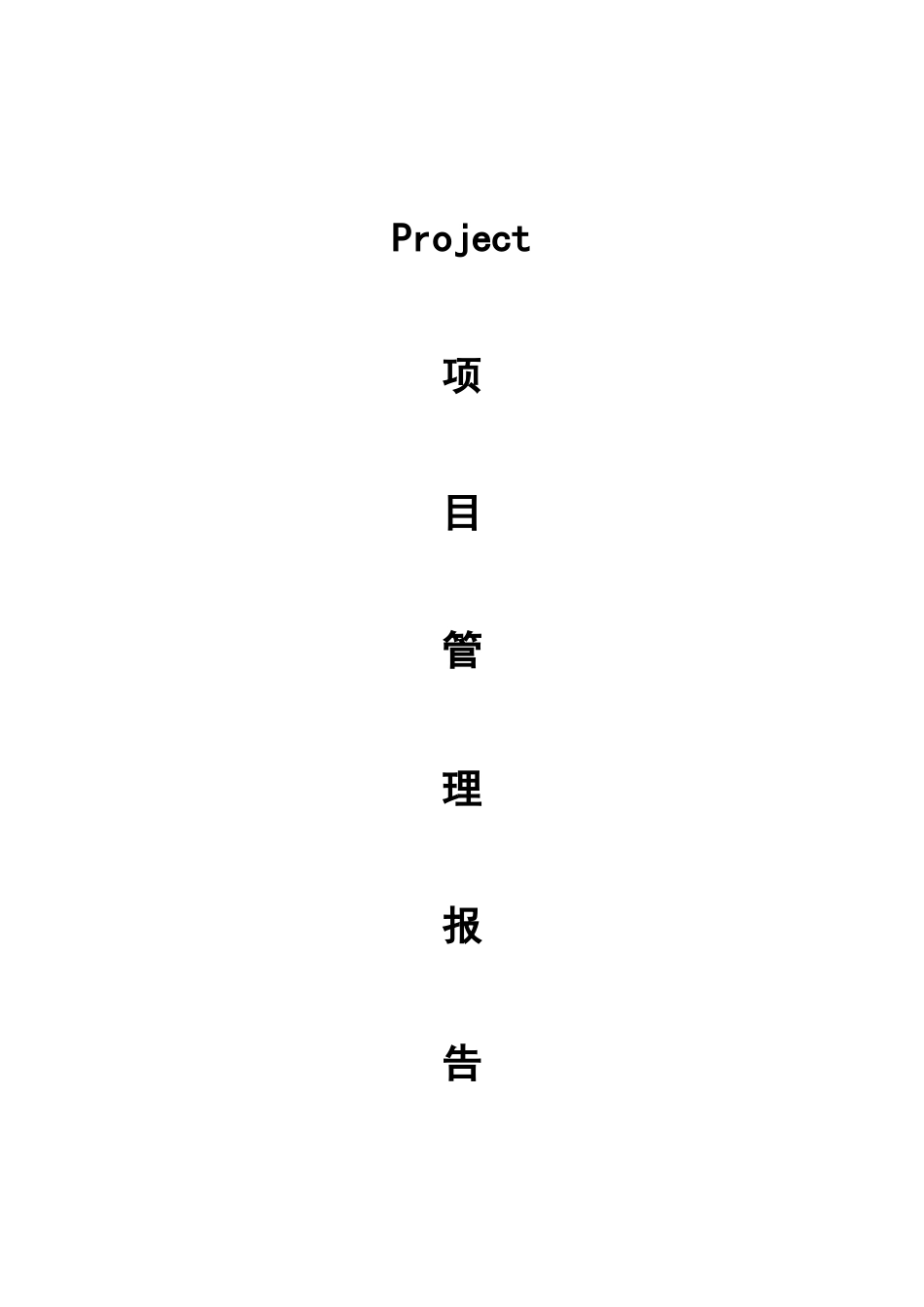 PROJECT项目管理报告_第1页