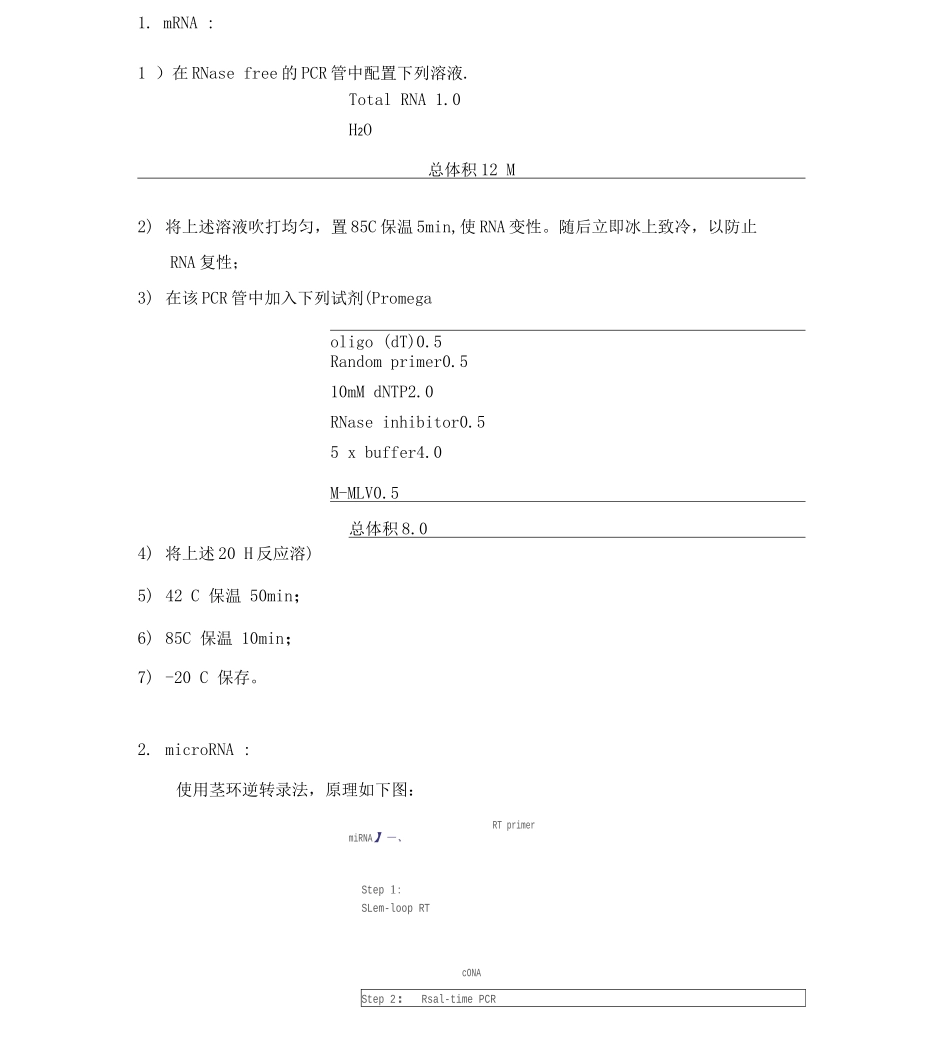 qPCR实验操作流程_第3页