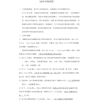 qPCR实验操作流程