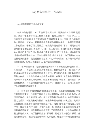 sap财务终的工作总结