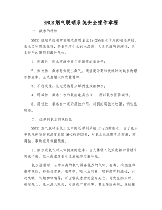 SNCR烟气脱硝系统安全操作规程