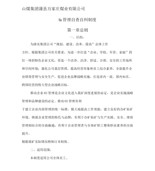 s管理自查自纠制度.