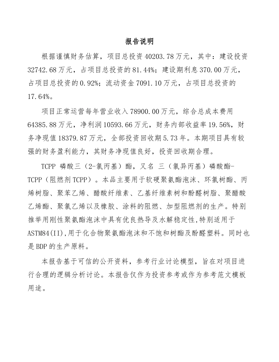 TCPP项目可行性研究报告_第2页