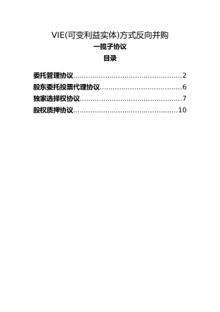 VIE一揽子协议-中文