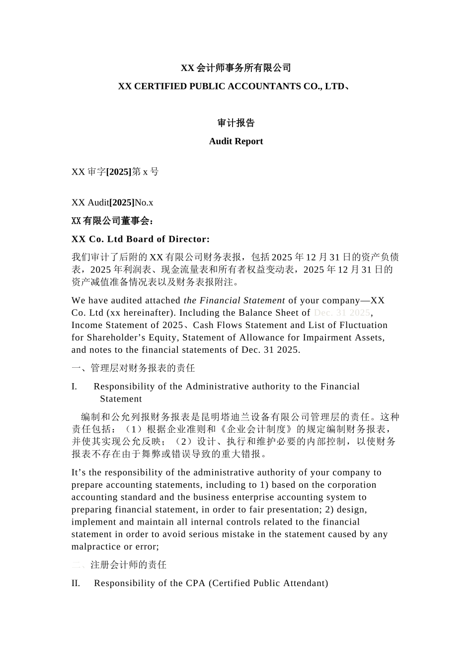 XX会计师事务所有限公司审计报告_第1页