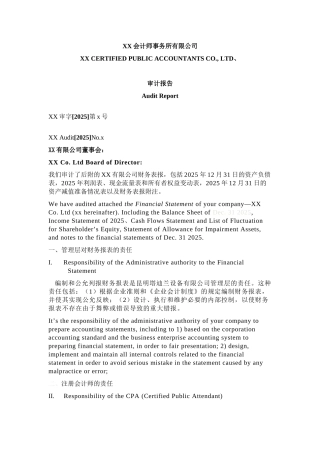 XX会计师事务所有限公司审计报告