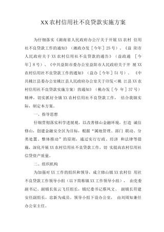 XX农村信用社不良贷款实施方案
