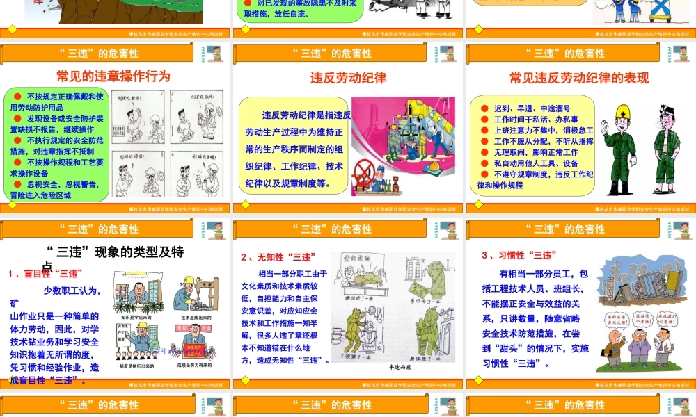 “三违”的危害性专题培训课件