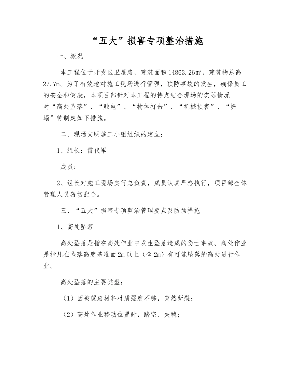 “五大”伤害专项整治措施_第1页