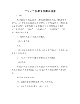 “五大”伤害专项整治措施
