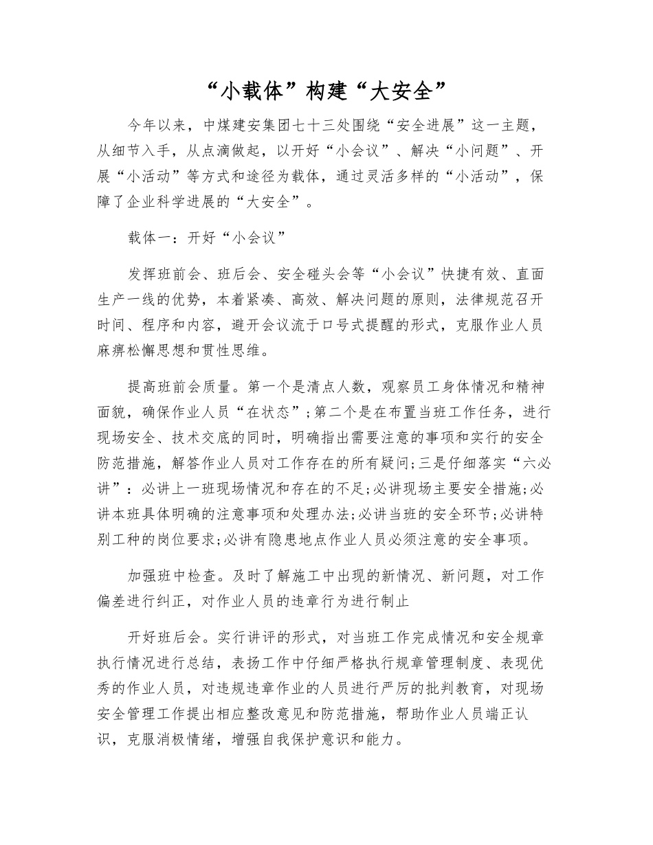 “小载体”构建“大安全”_第1页