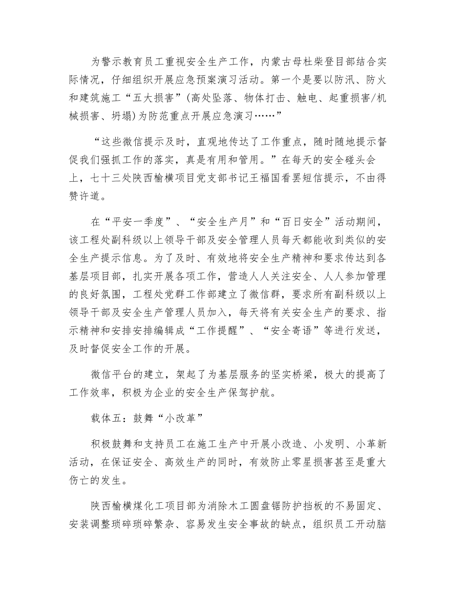 “小载体”构建“大安全”_第3页