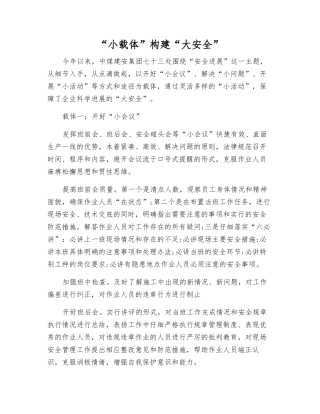 “小载体”构建“大安全”