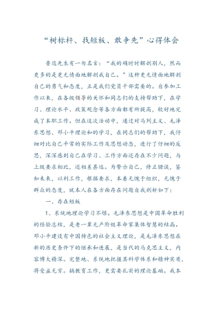 “树标杆、找短板、敢争先”心得体会