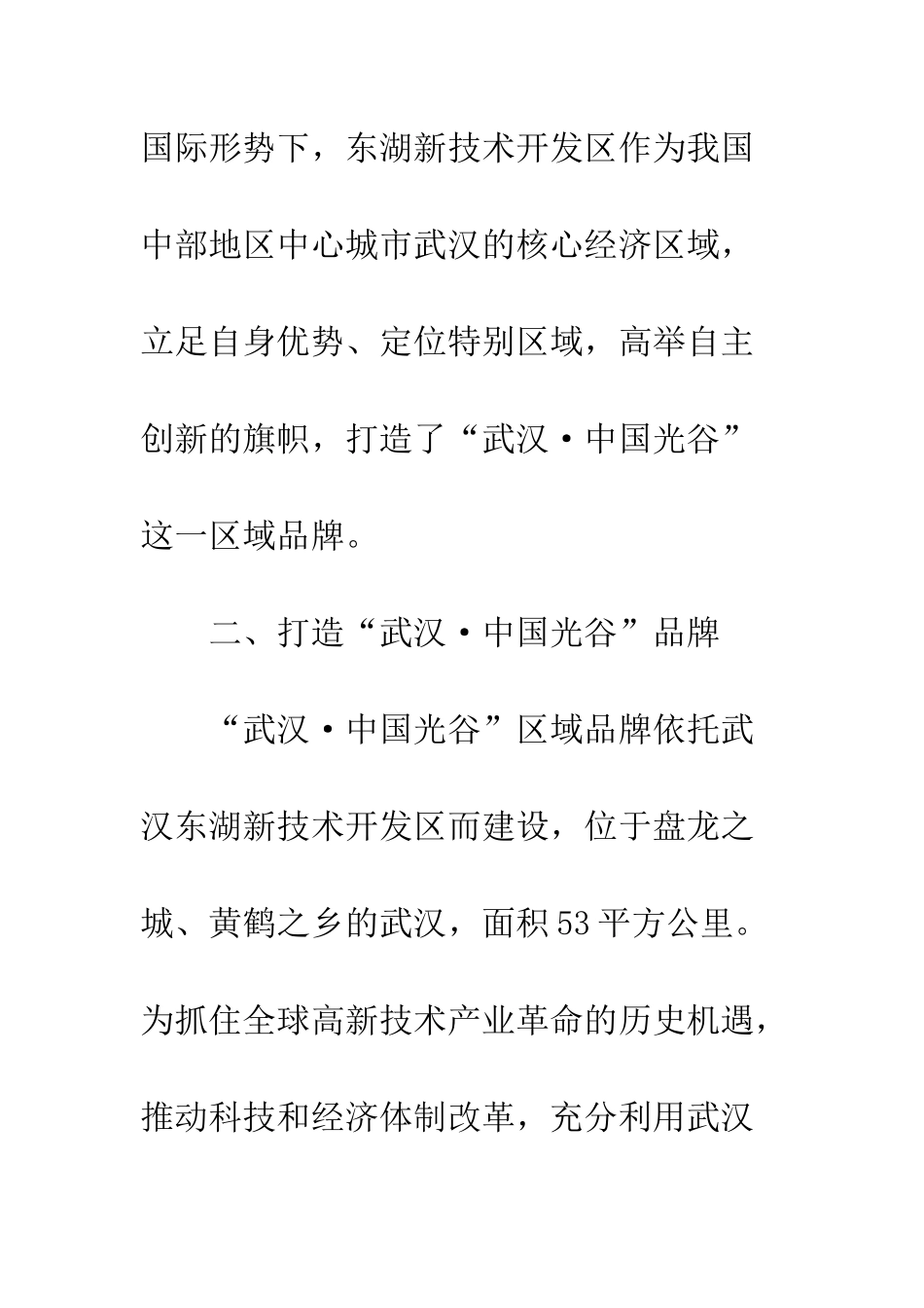 “武汉·中国光谷”的区域品牌之路_第3页