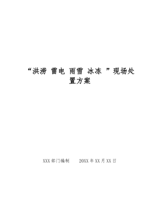“洪涝-雷电-雨雪-冰冻-”现场处置方案